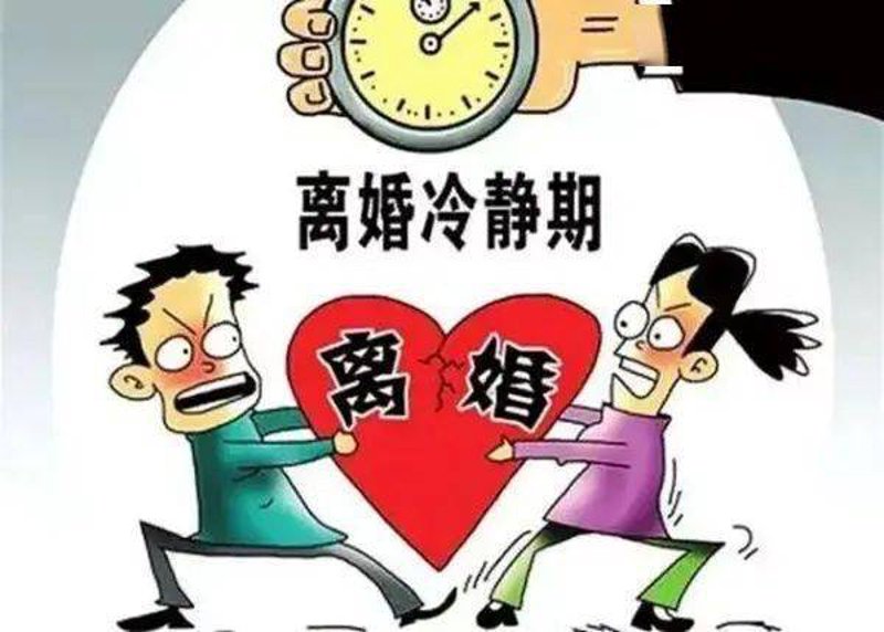 公司法律顾问:企业发展的守护神